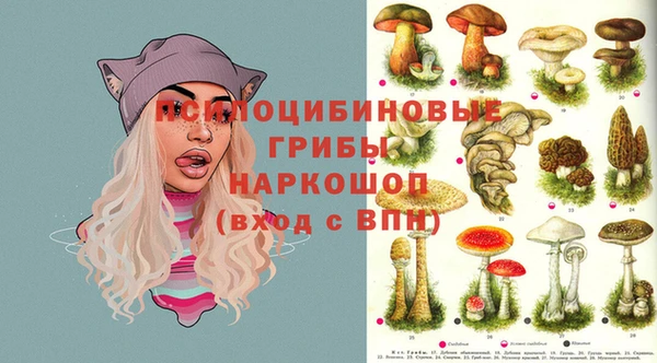 винт Алексин