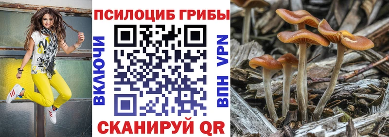 наркота Уварово Псилоцибиновые грибы прущие грибы